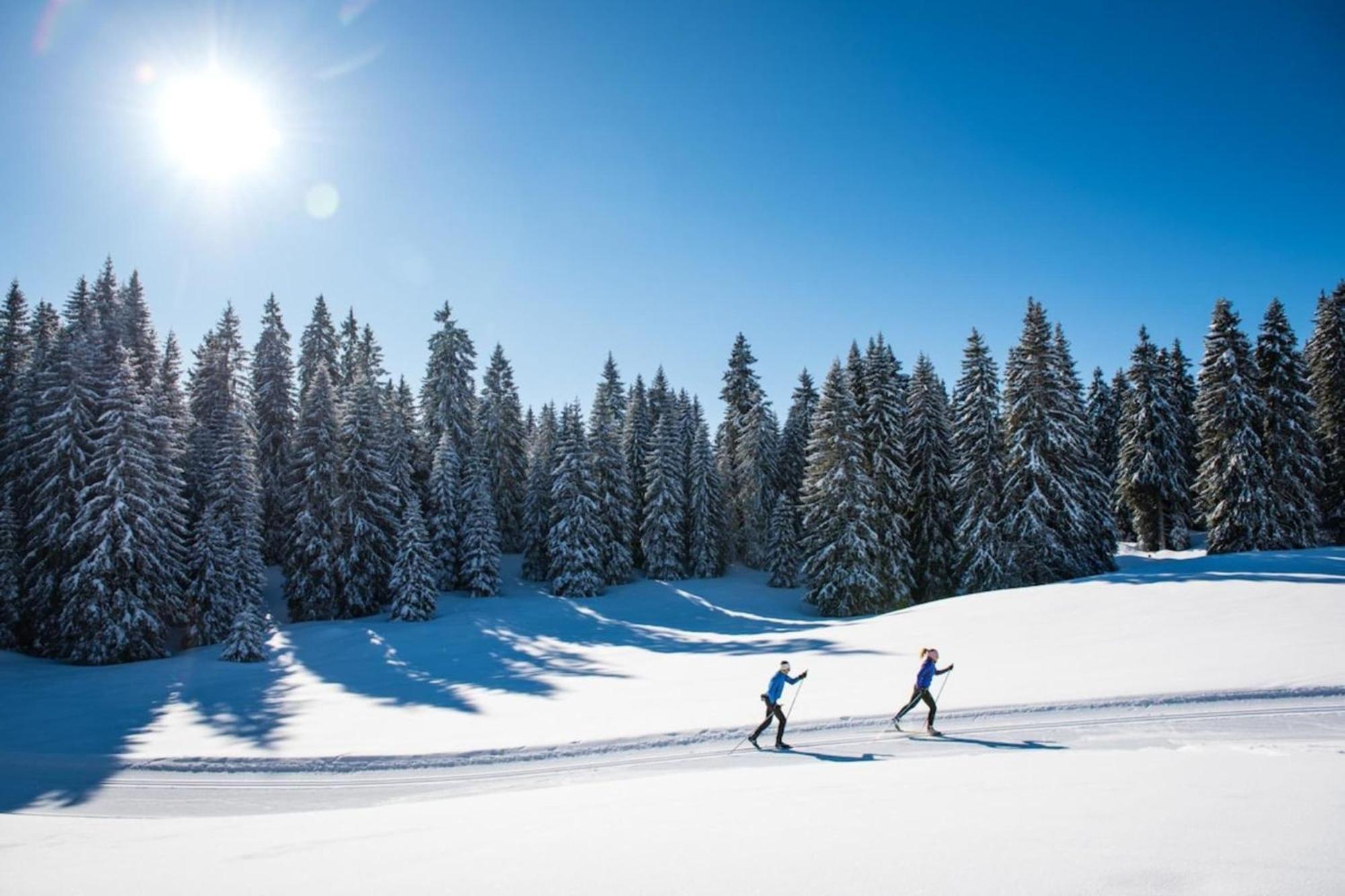 Superbe Appartement Au Pied Des Pistes -Le Chamois Les Déserts Extérieur photo