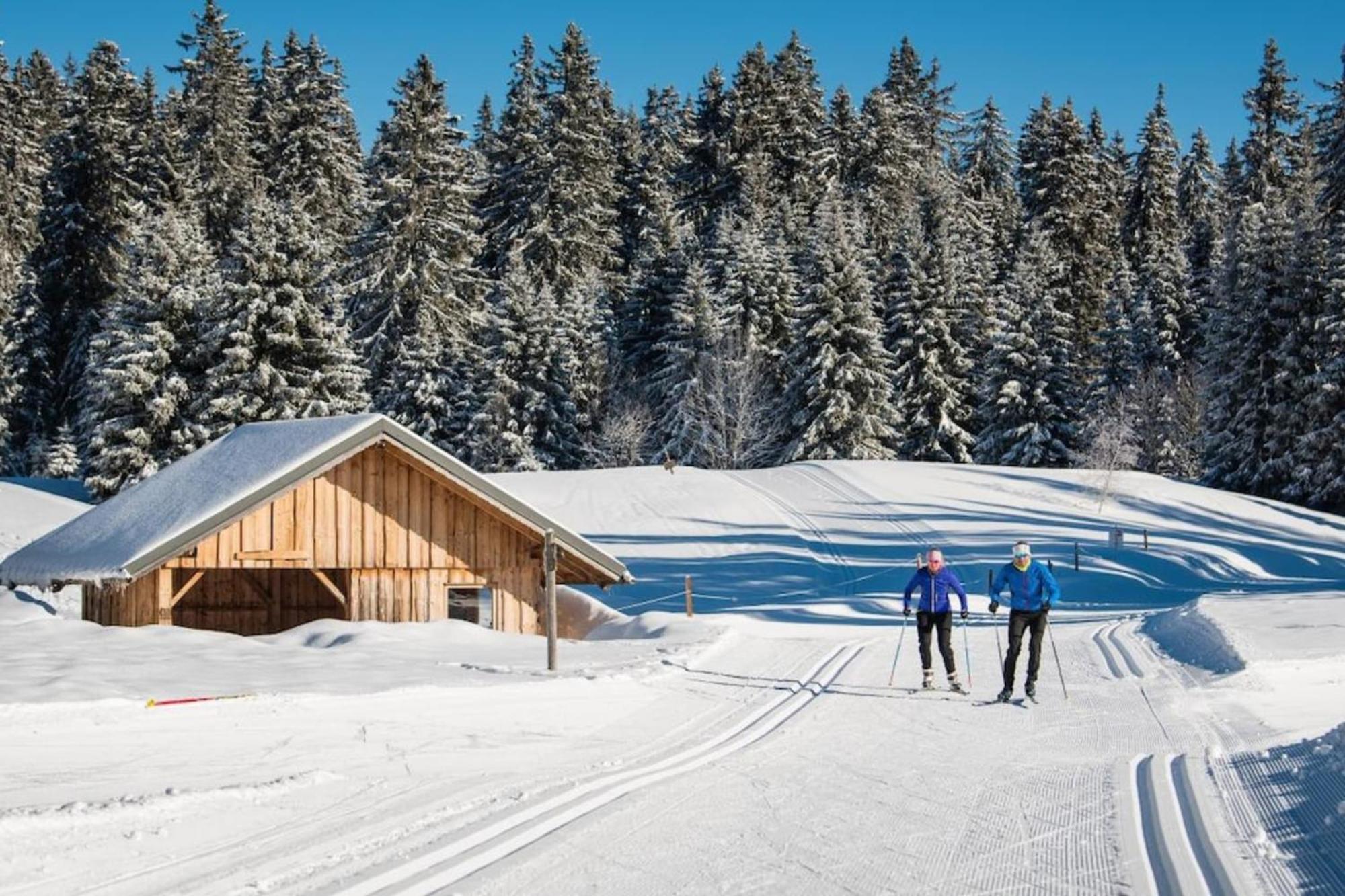 Superbe Appartement Au Pied Des Pistes -Le Chamois Les Déserts Extérieur photo
